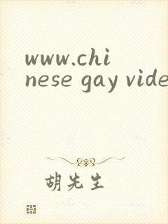 www.chinese gay videos