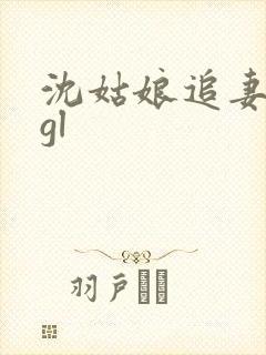 沈姑娘追妻攻略gl