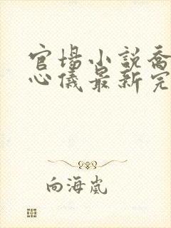 官场小说乔梁叶心仪最新完整版封面