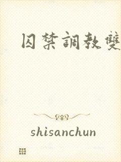 囚禁调教双男主