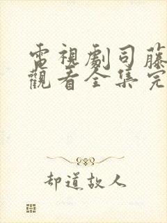 电视剧司藤免费观看全集完整版