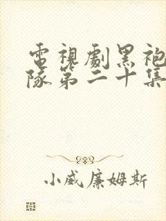 电视剧黑袍纠察队第二十集封面