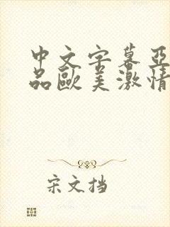 中文字幕亚洲精品欧美激情