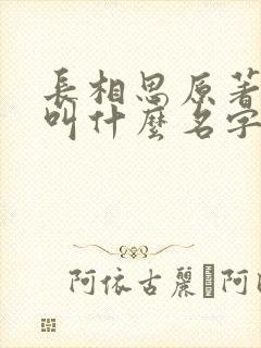 长相思原著小说叫什么名字