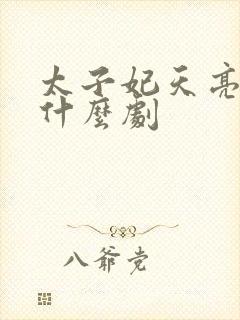 太子妃天亮了是什么剧