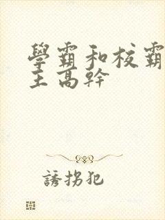 学霸和校霸双男主高干