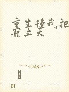 重生后我把丈夫宠上天