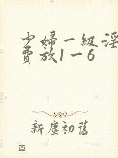 少妇一级淫片免费放1一6封面