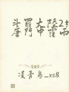 斗罗大陆2绝世唐门中霍雨浩封面