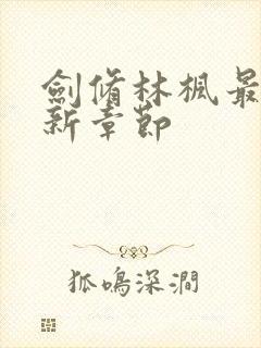 剑修林枫最新更新章节封面