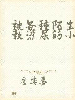 被各种陌生人调教灌尿的小说封面