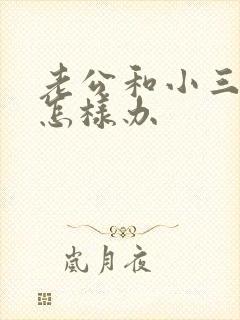 老公和小三不断怎样办