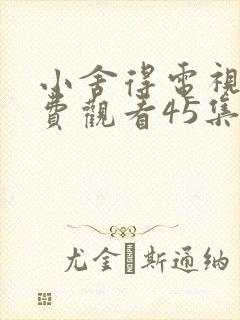 小舍得电视剧免费观看45集