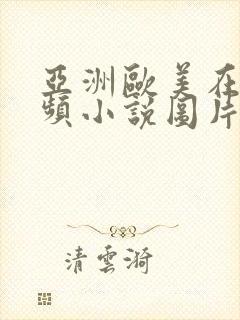 亚洲欧美在线视频小说图片封面