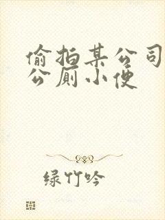 偷拍某公司美女公厕小便