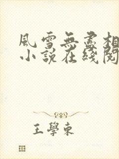 风雪无尽相思情小说在线阅读