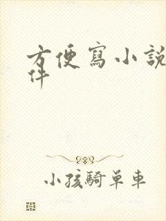 方便写小说的软件