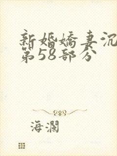 新婚娇妻沉沦1第58部分