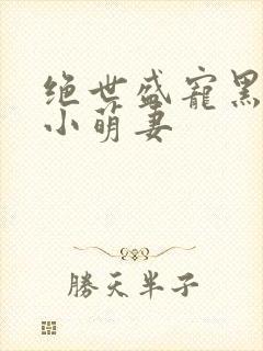 绝世盛宠黑帝的小萌妻