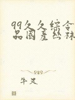 99久久综合精品国产丝袜长腿