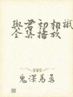 与君初相识免费全集播放