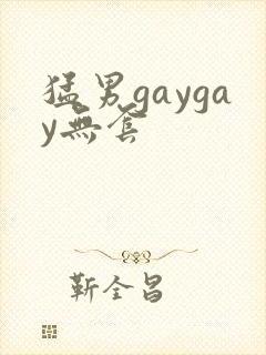 猛男gaygay无套