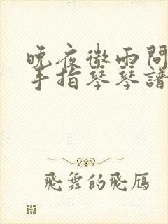 晚夜微雨问海棠手指琴琴谱