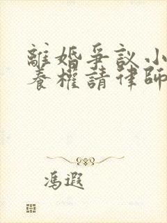 离婚争议小孩抚养权请律师要多少钱