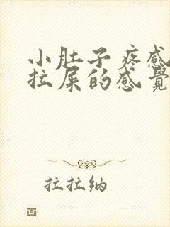 小肚子疼感觉想拉屎的感觉咋回事封面