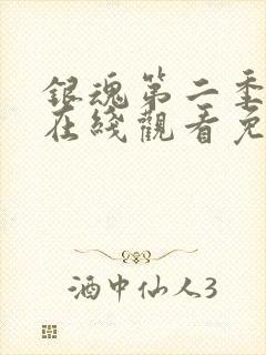 银魂第二季动漫在线观看免费高清观看封面