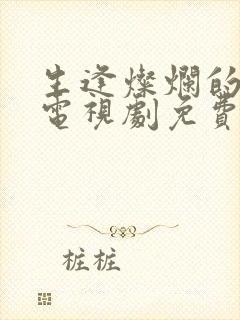 生逢灿烂的日子电视剧免费