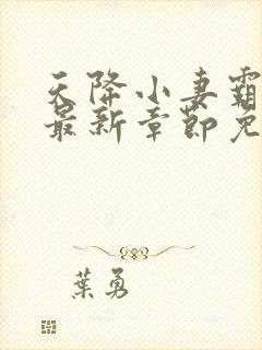 天降小妻霸道宠最新章节免费阅读