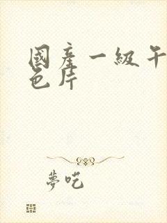 国产一级午夜黄色片