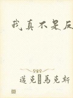 我真不是反派呀封面