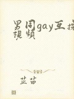 男同gay互操视频封面