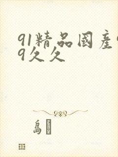 91精品国产99久久封面