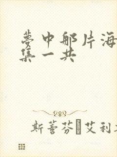 梦中那片海多少集一共