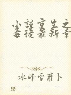 小说重生之将门毒后最新章节列表免费