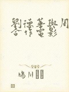 刘德华与周星驰合作电影封面