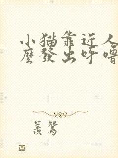 小猫靠近人为什么发出呼噜噜的声音