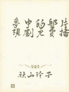 梦中的那片海电视剧免费播放在线