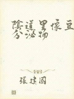 阴道里像豆腐渣分泌物