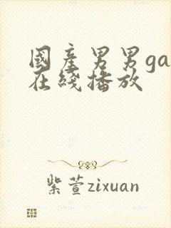 国产男男gay在线播放