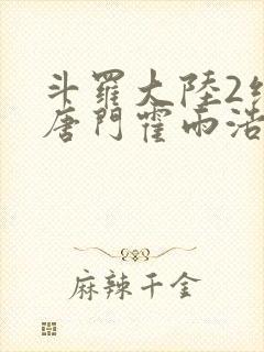 斗罗大陆2绝世唐门霍雨浩与王冬儿封面