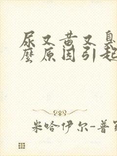 尿又黄又臭是什么原因引起的