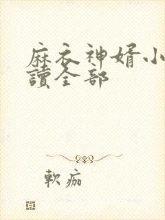 麻衣神婿小说阅读全部