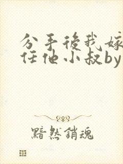 分手后我嫁给前任他小叔by