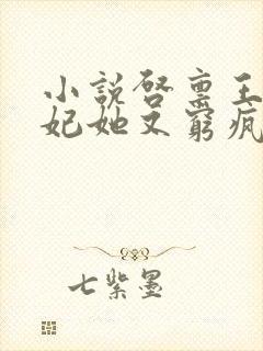 小说启禀王爷王妃她又穷疯了