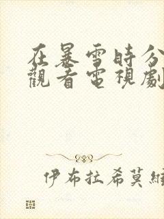 在暴雪时分免费观看电视剧国产剧