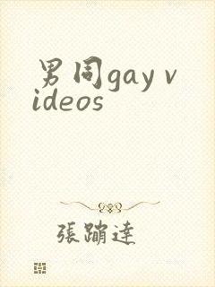 男同gay videos封面